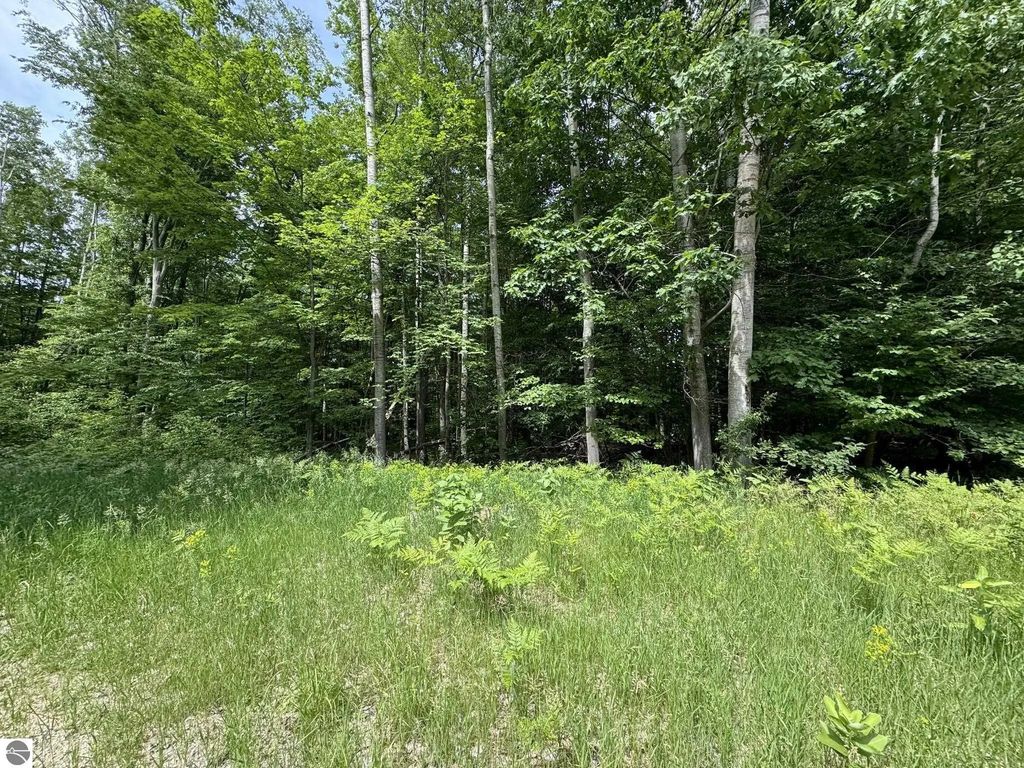 Knoll One Drive, Leroy