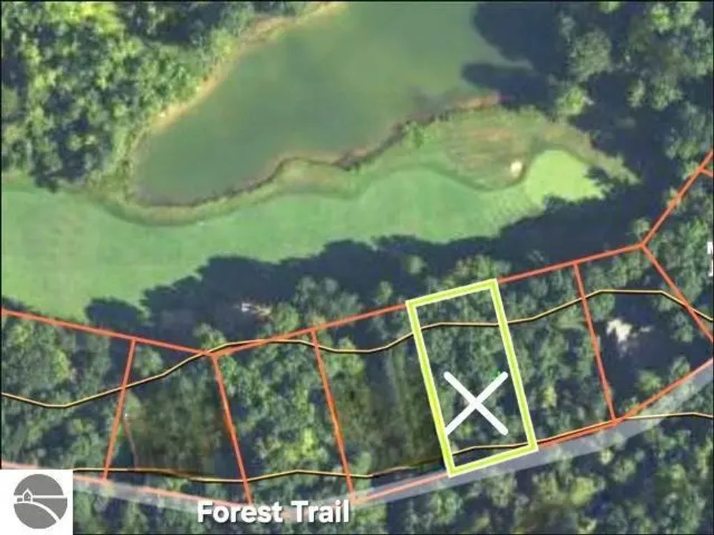 14 Forest Trail, Bellaire