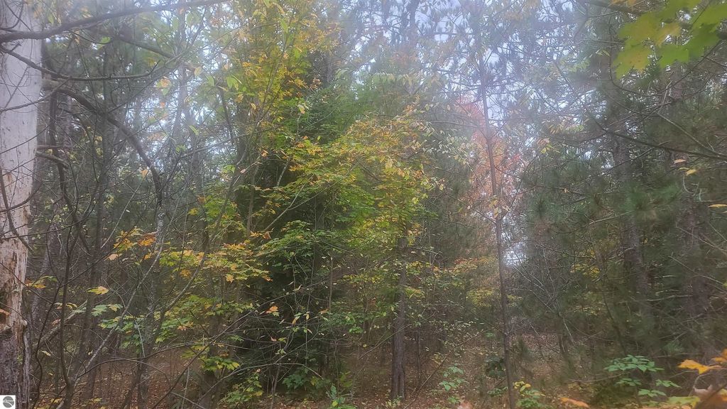 0001 Cedar River Road, Mancelona