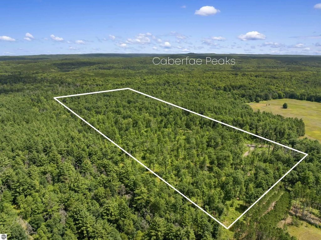 30 Acres W 48 1/2 Road, Wellston