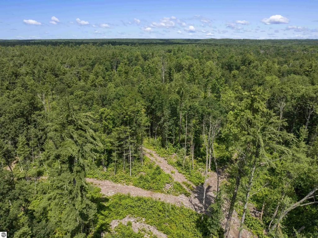 30 Acres W 48 1/2 Road, Wellston