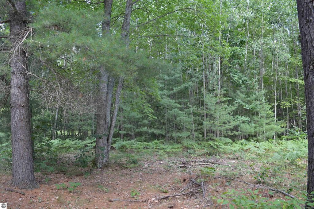 8430 Ne Grass Lake Road, Kalkaska