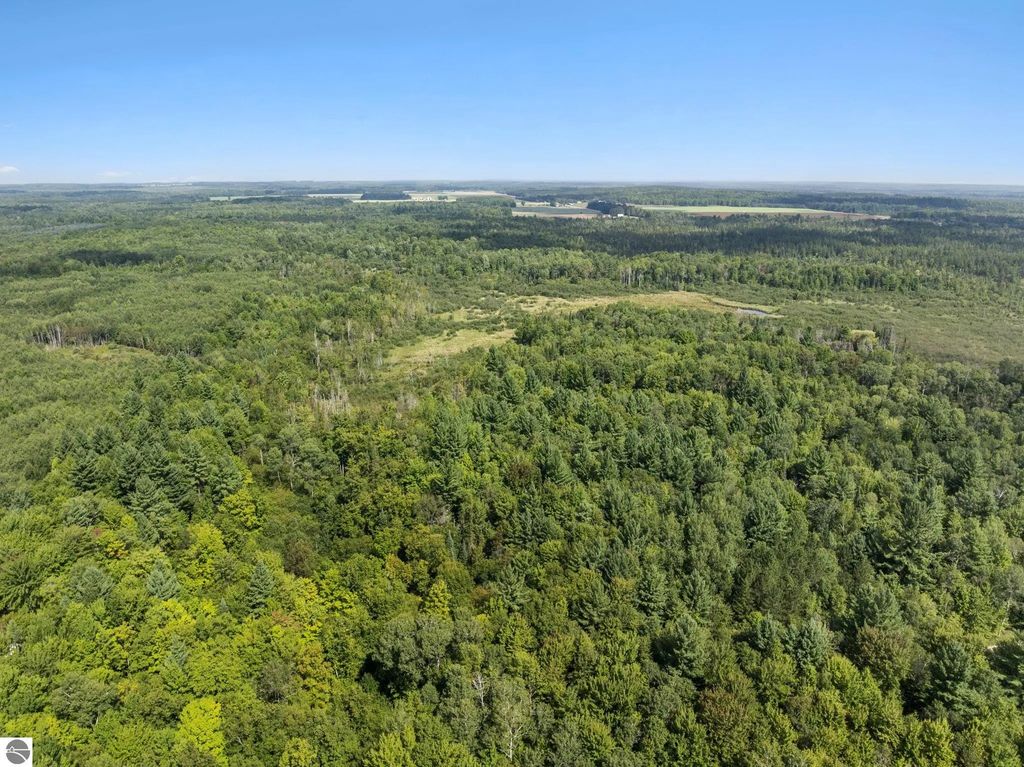 4517 Se Pierson Creek Road, Kalkaska