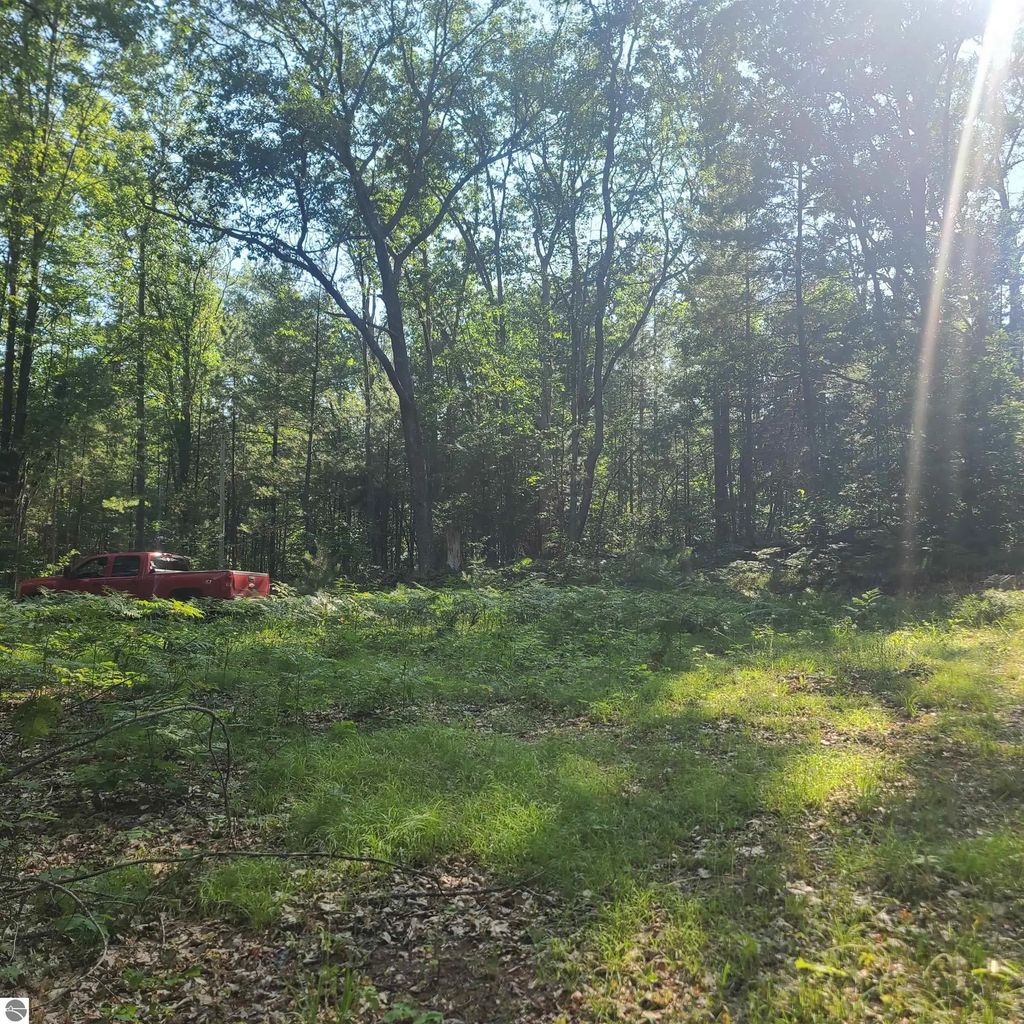 Ne Bailey Road, Kalkaska
