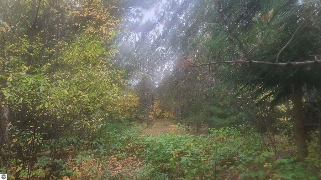 Cedar River Road, Mancelona