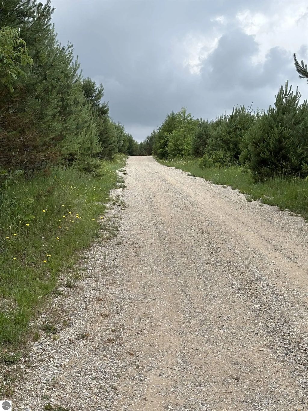 1426 Se Riley Road, Kalkaska