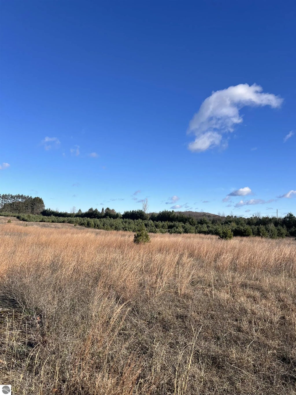 Vacant Land Johnson Road, Bellaire