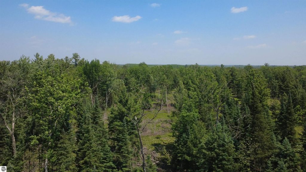 X Oleskie Trail, West Branch