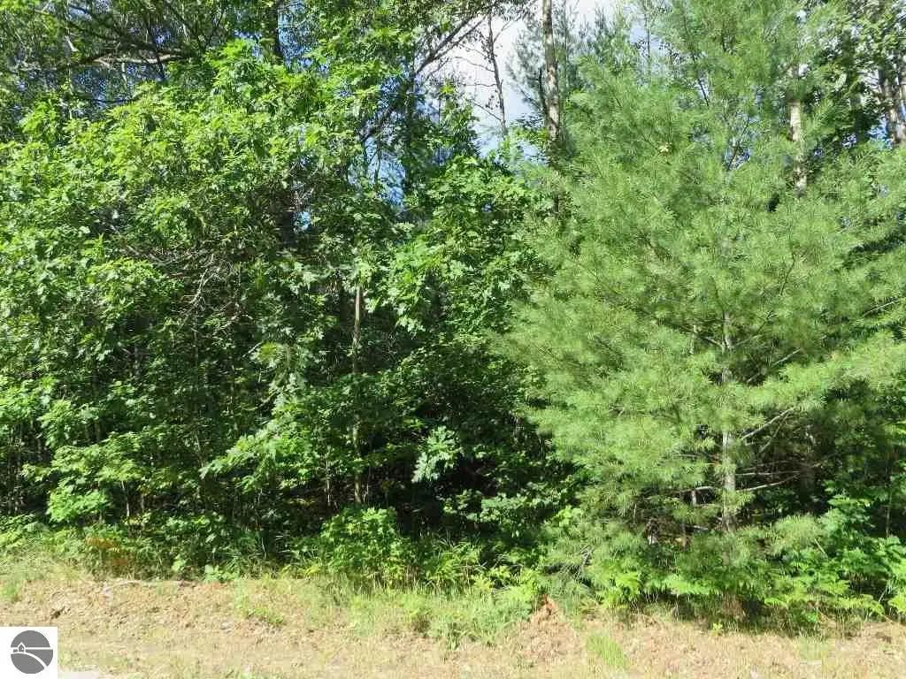 2143 E Log Lake Road, Kalkaska
