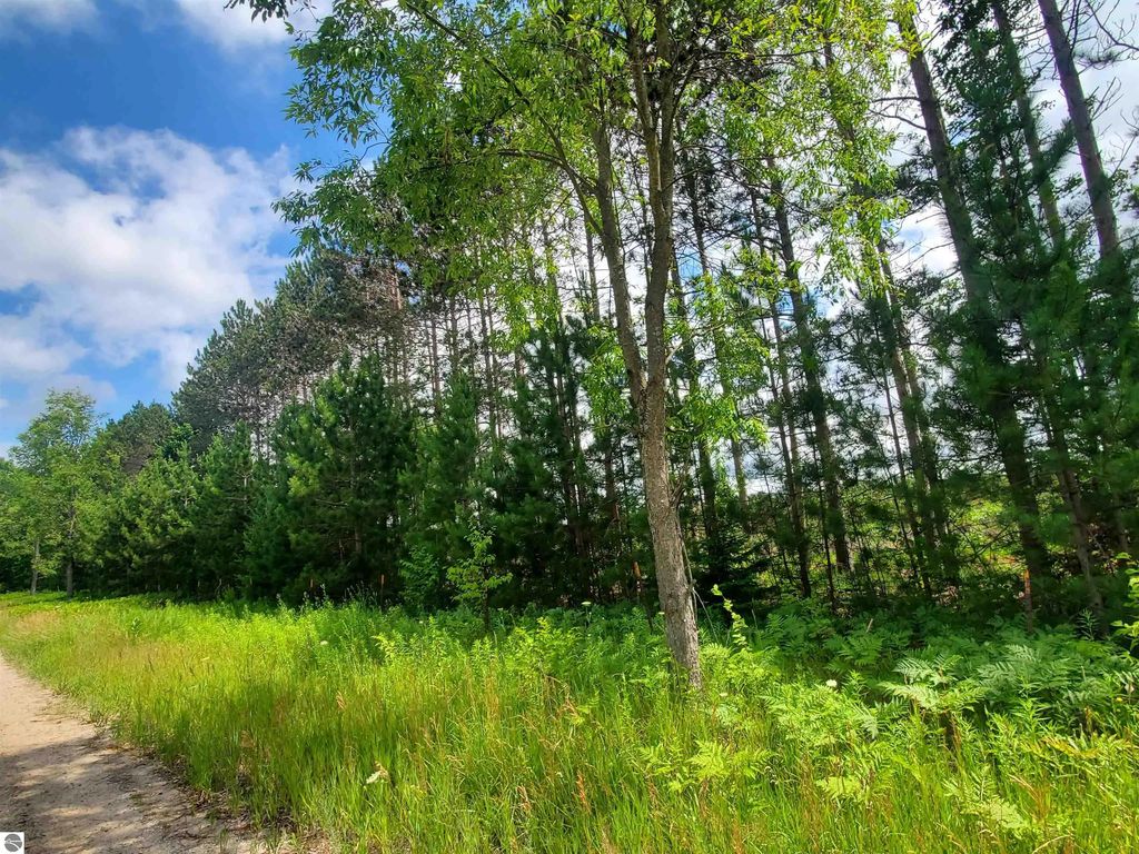 80 Acres Beall Road, Bear Lake