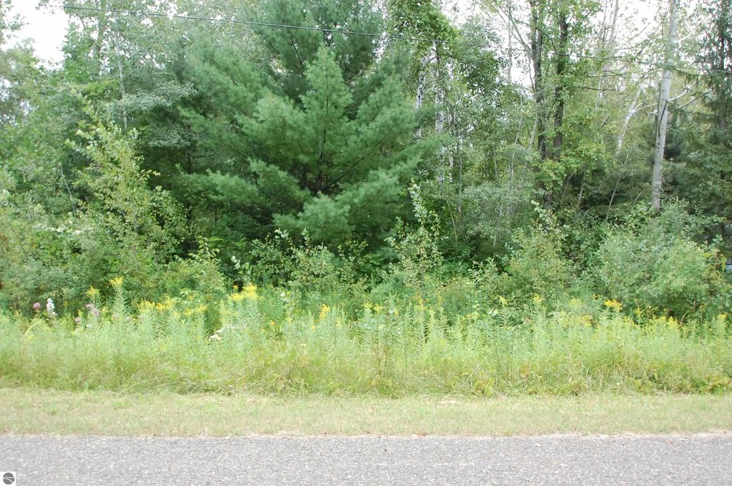 Crawford Street, West Branch