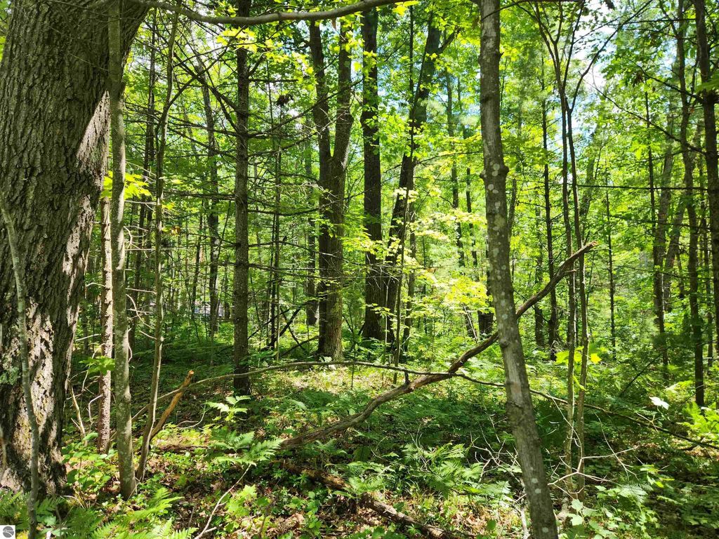 Bradley, Kalkaska