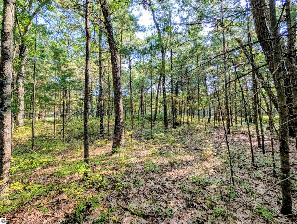 N/a Huron Breeze Drive, Au Gres