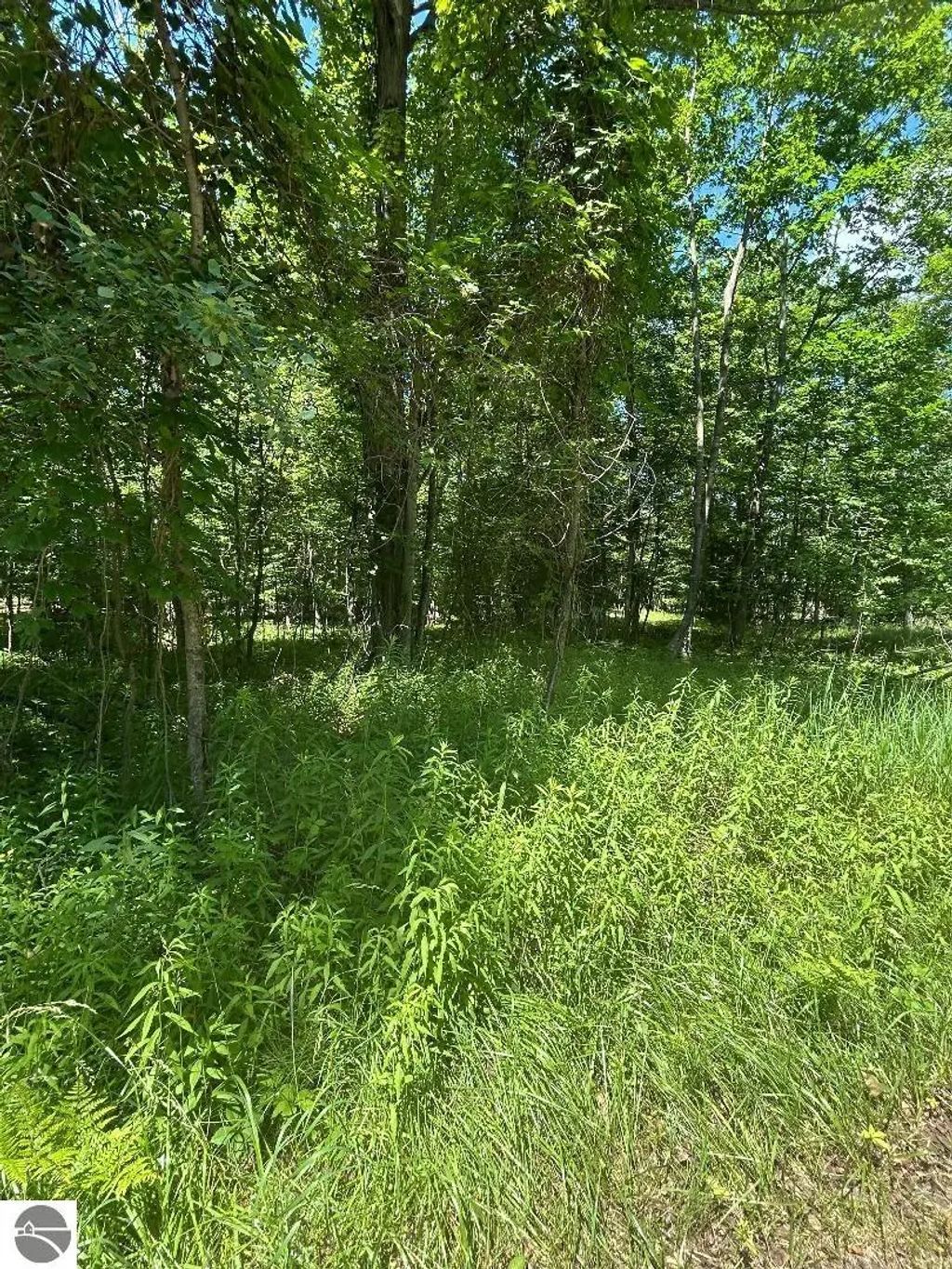 S Point Lookout Road, Au Gres