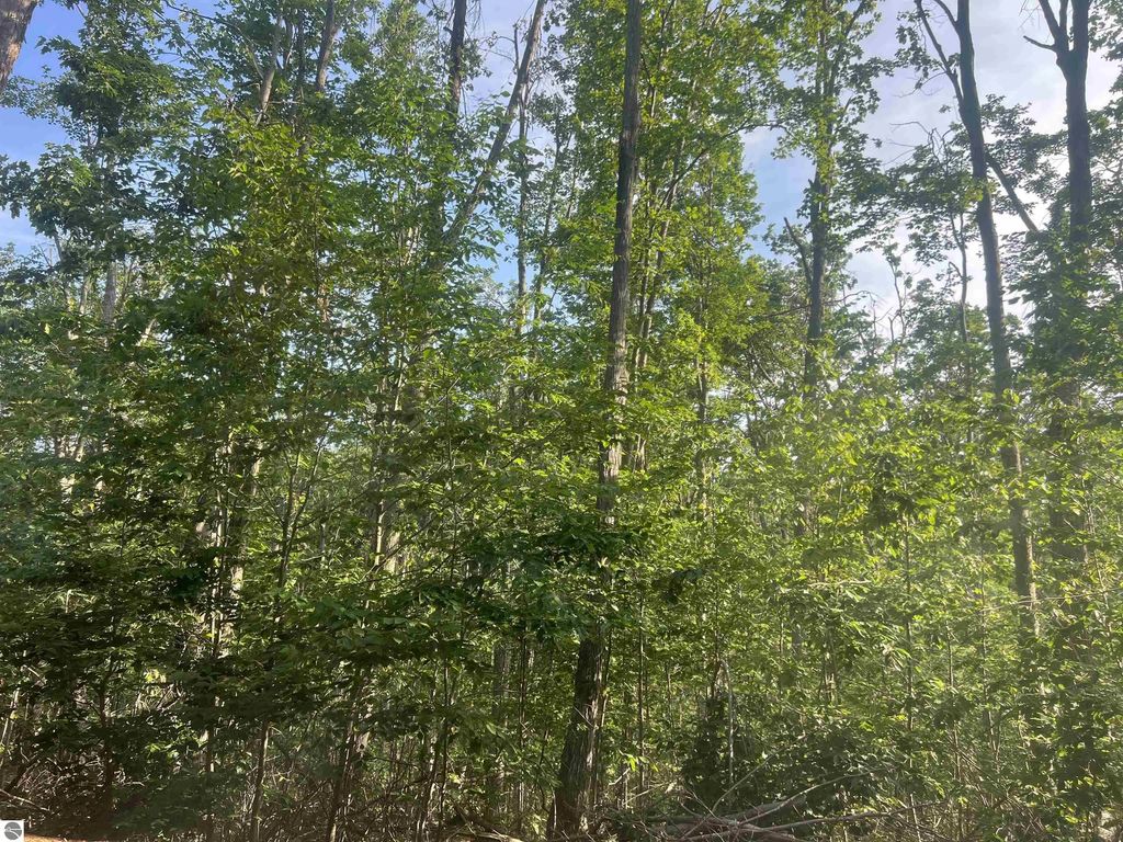 Lot 388 Wyndwood Drive, Mancelona