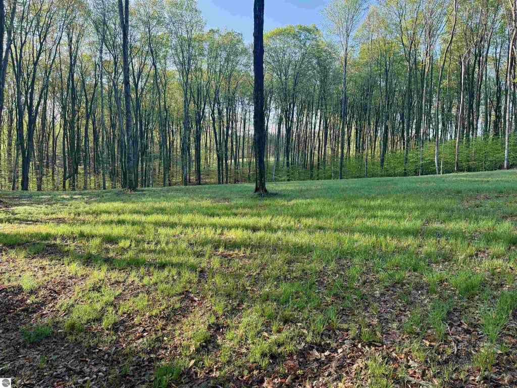 002 S Bright Road, Maple City