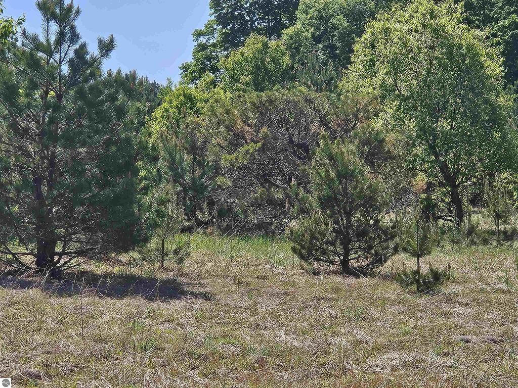 V/l Parcel C Se Grass Lake Road, Kalkaska