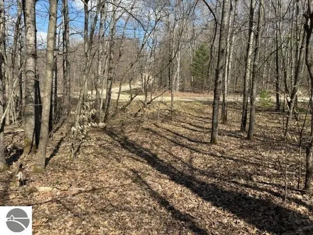 Ticino Drive, Reed City