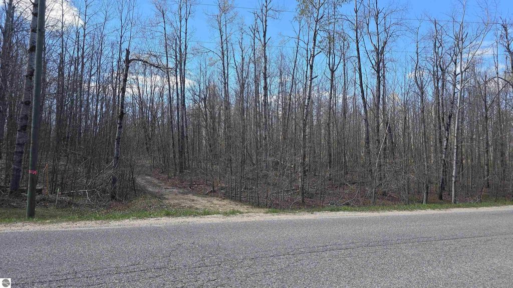 Vl Pineview Drive, Mancelona