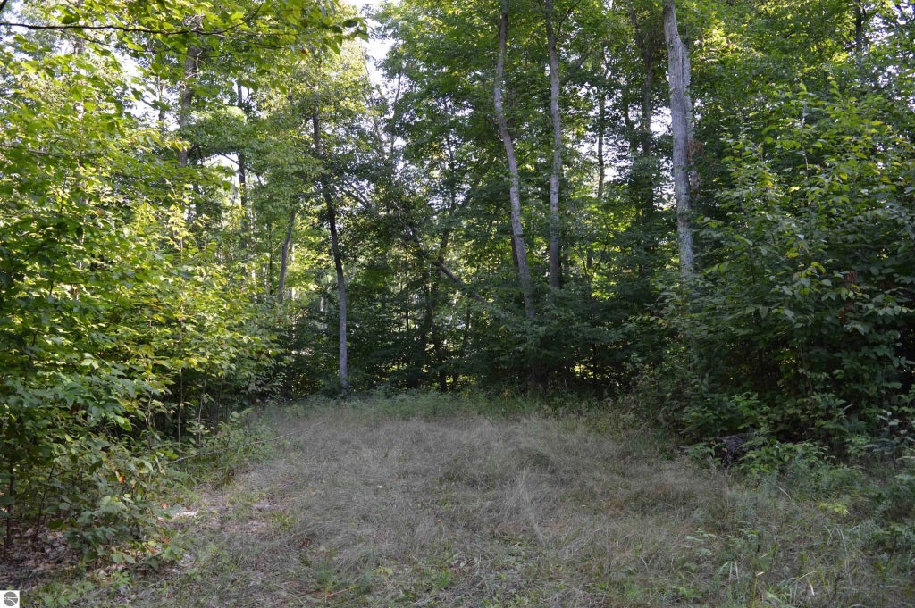 W Leonard Road, Mancelona