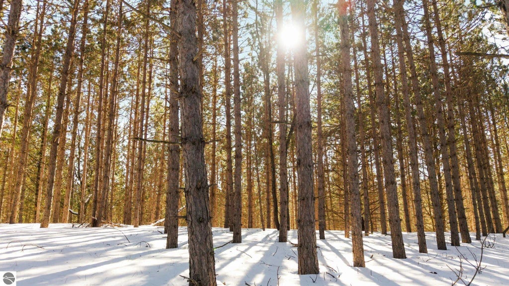 4811 Truax Lake Road, Williamsburg