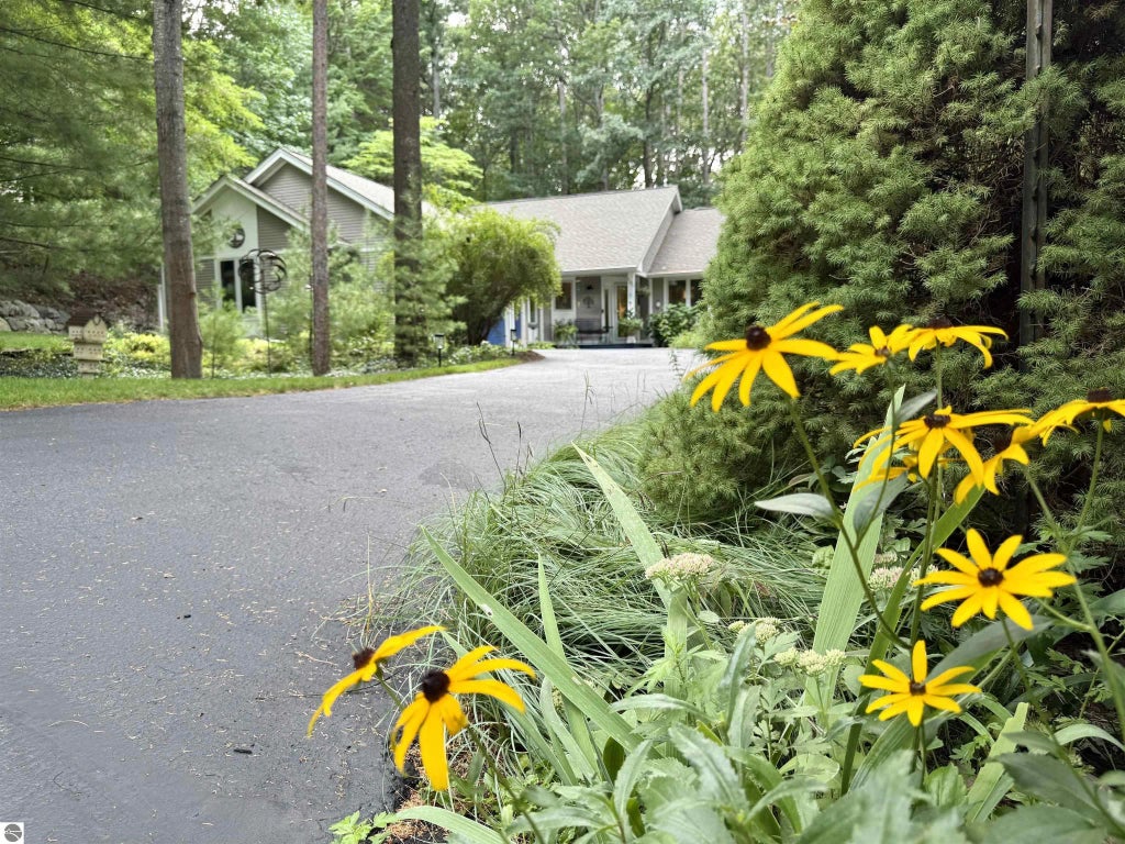 4373 Audubon Drive, Traverse City