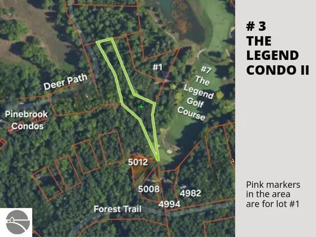 3 Deer Path, Bellaire