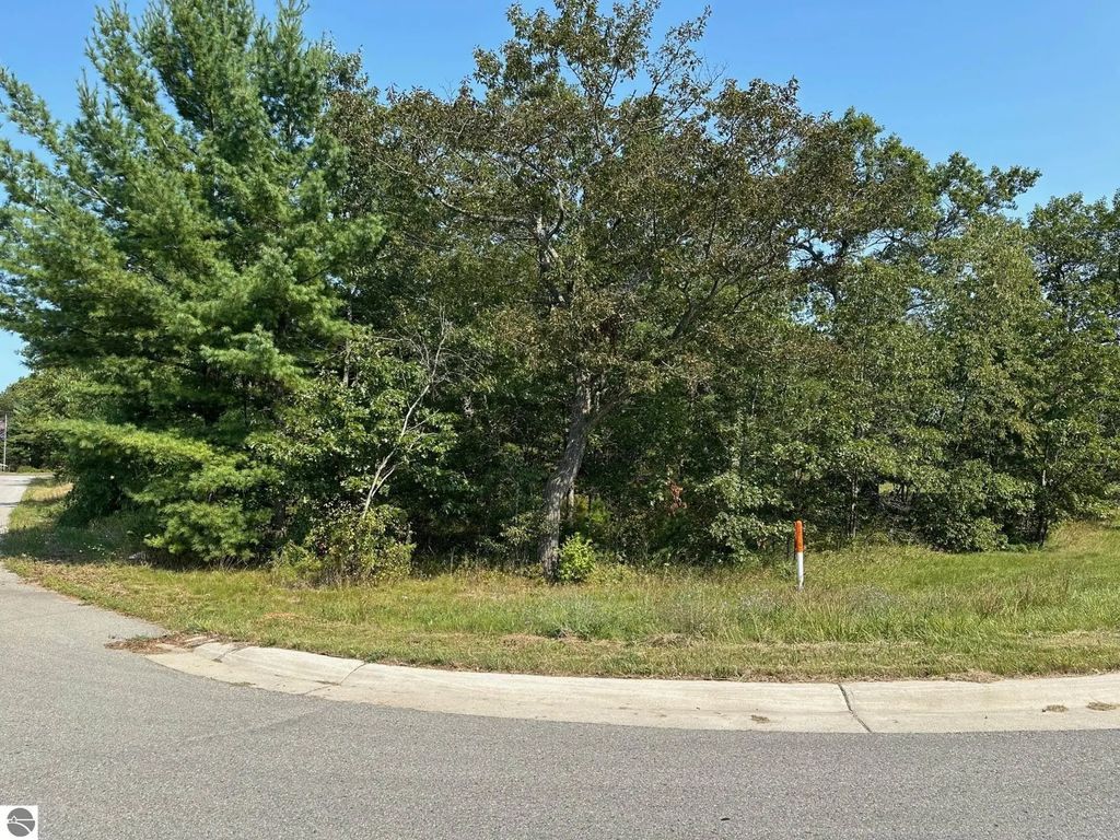 Wintergreen, East Tawas