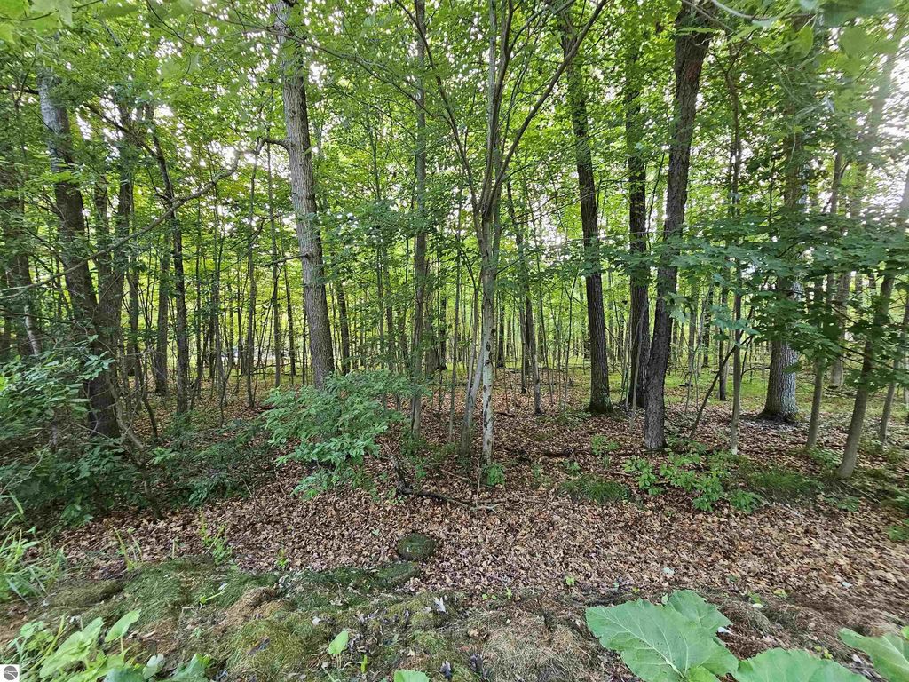 Lot 6 Jose Lake Drive, South Branch