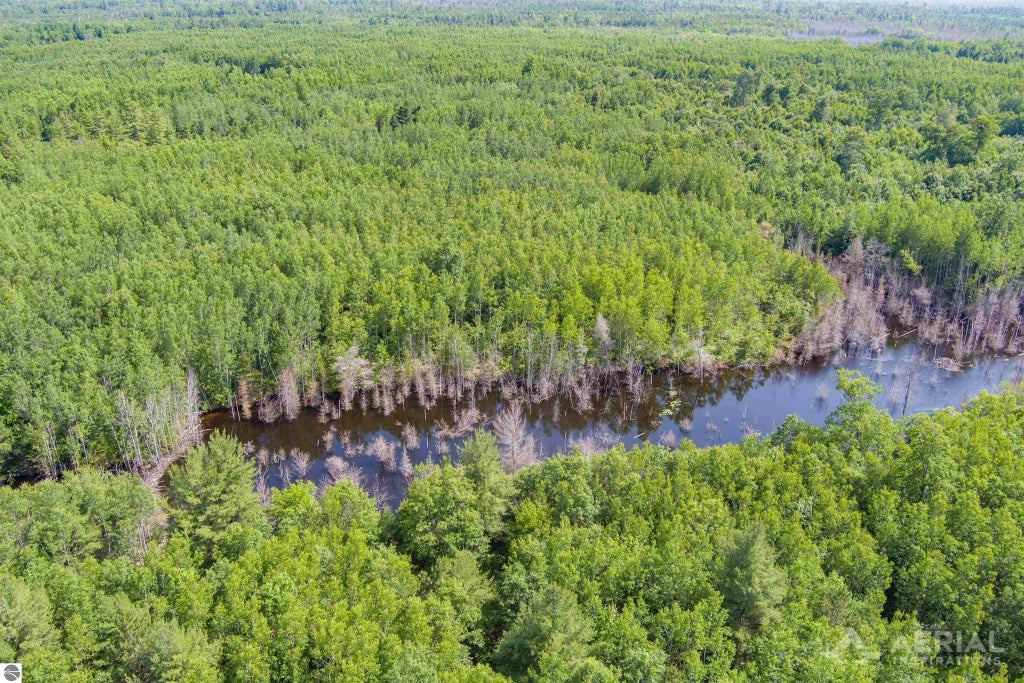 Co Road 646, Rogers City