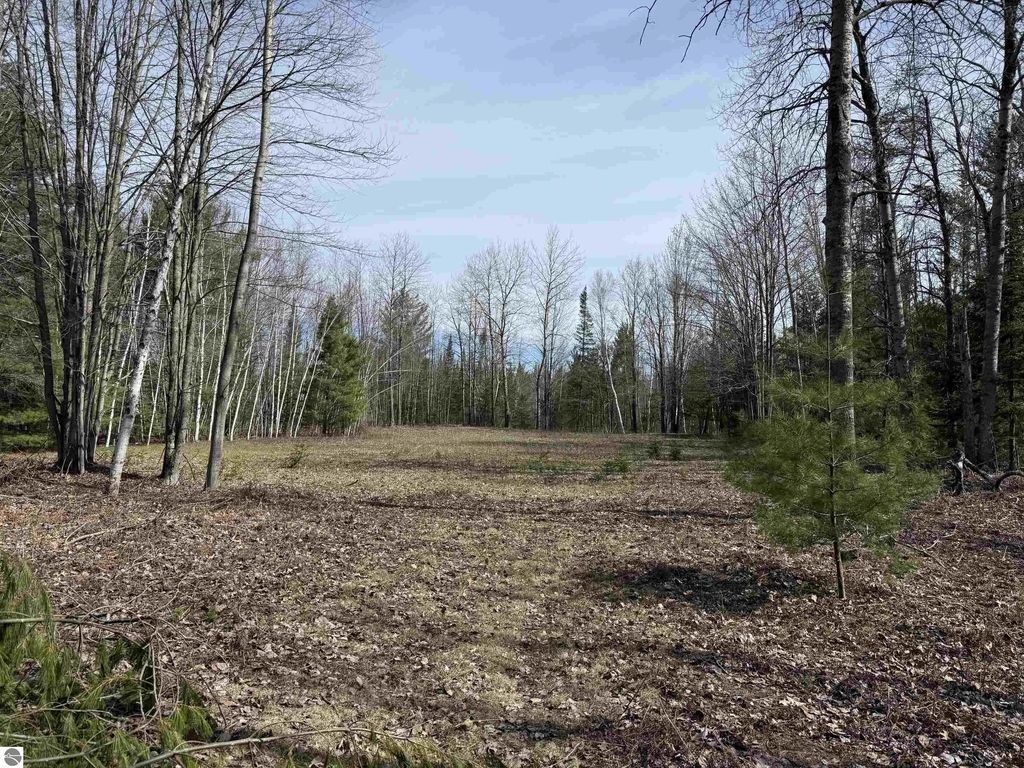 Michaud Road, Mikado