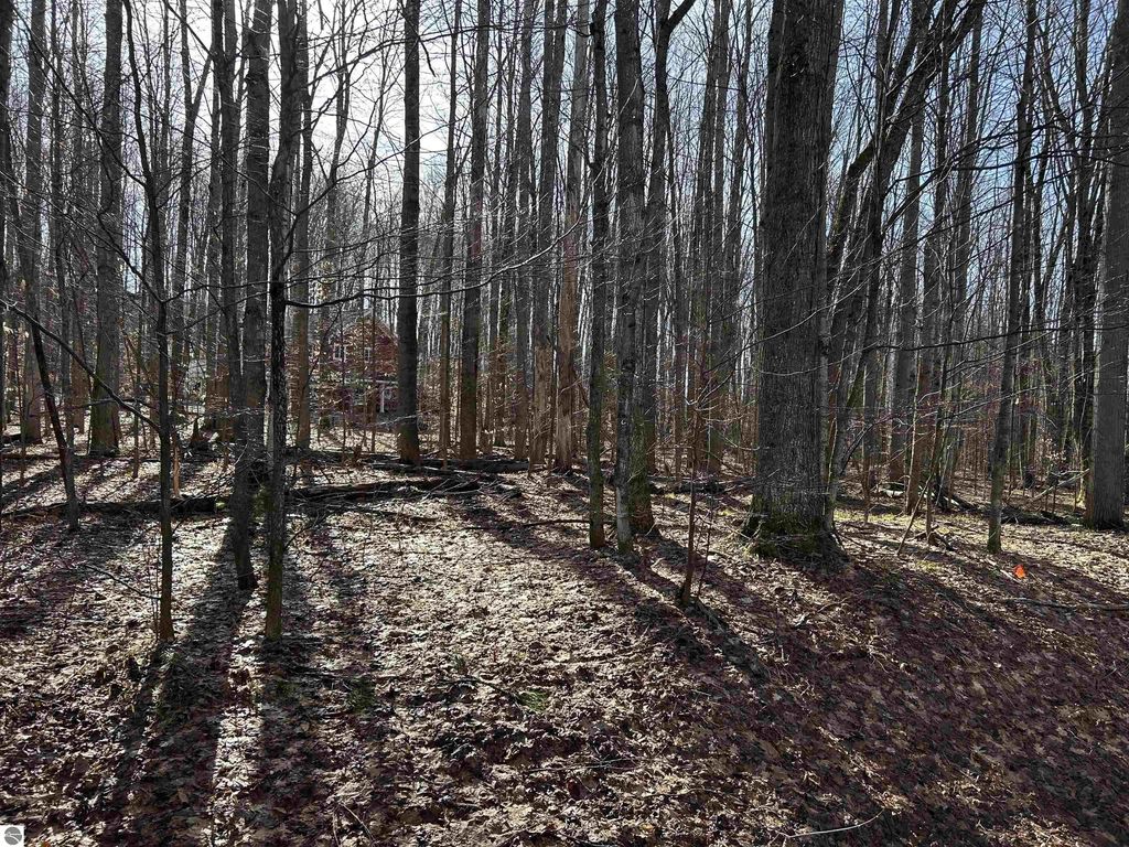 Lot 39 Schutzen Lane, Bellaire