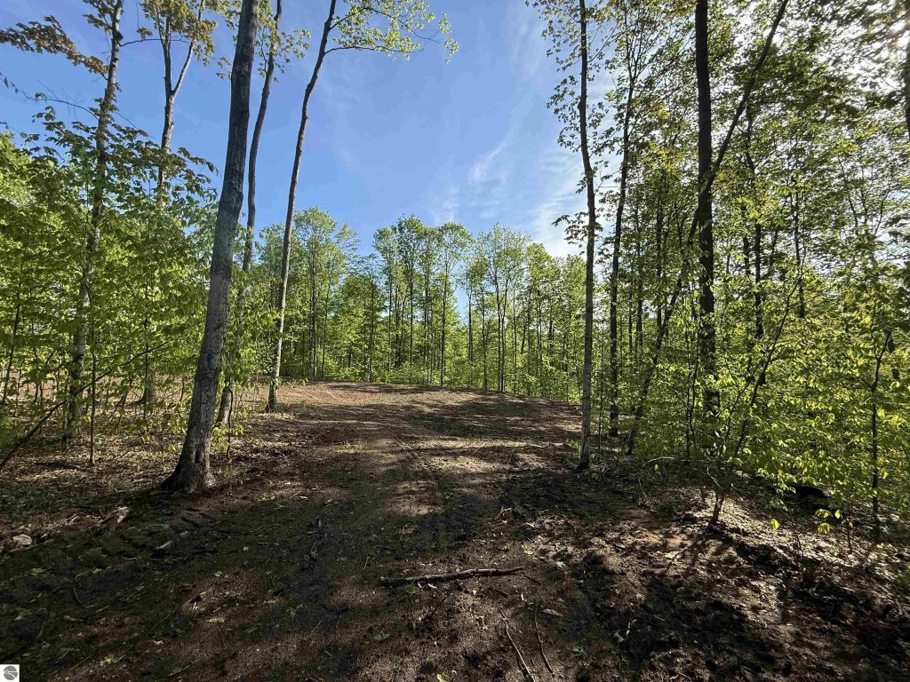 1371 E Solaris Way, Maple City