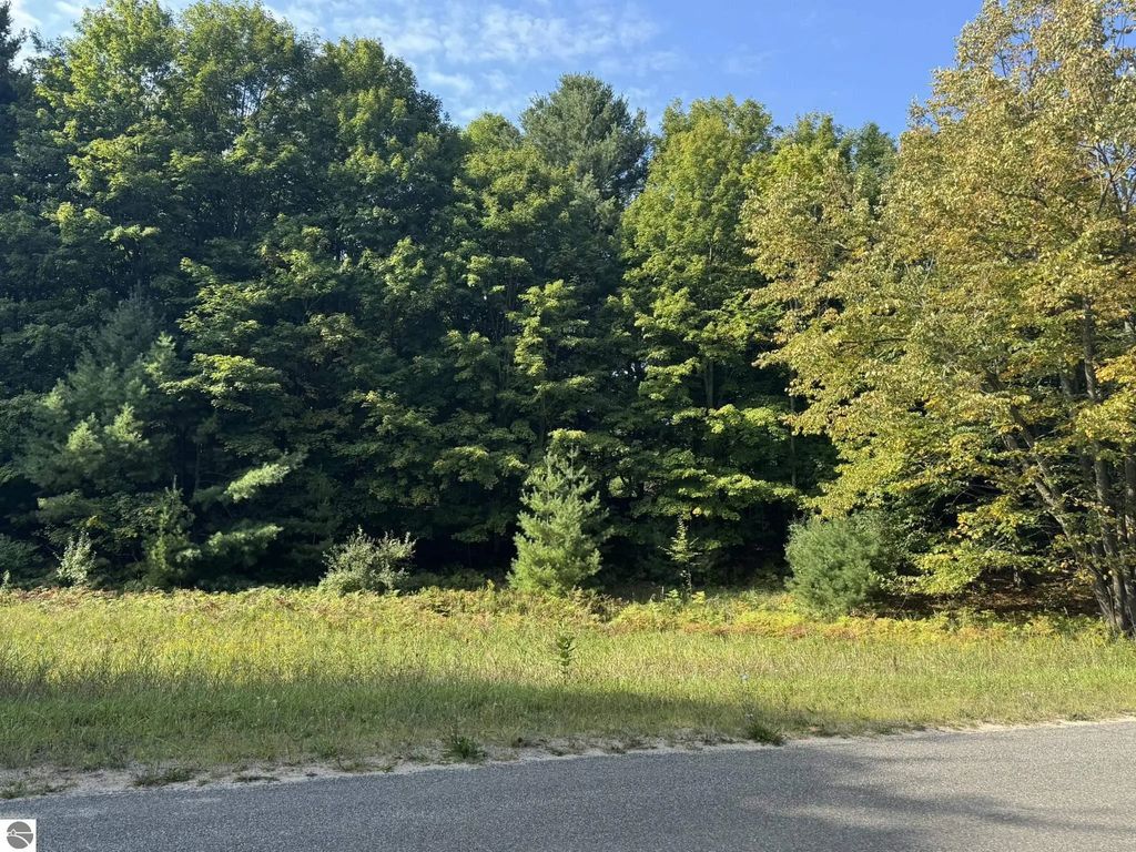 Lot 5 E Old Mountain Road, Cedar