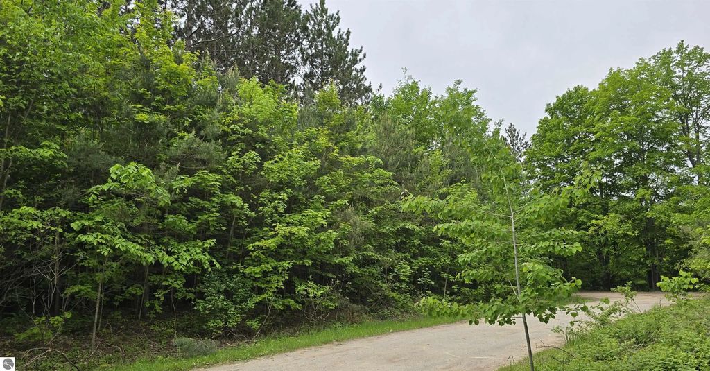5083 W Golf Haven Drive, Kalkaska