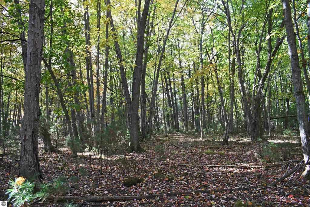 01 Rainbow Drive, East Tawas