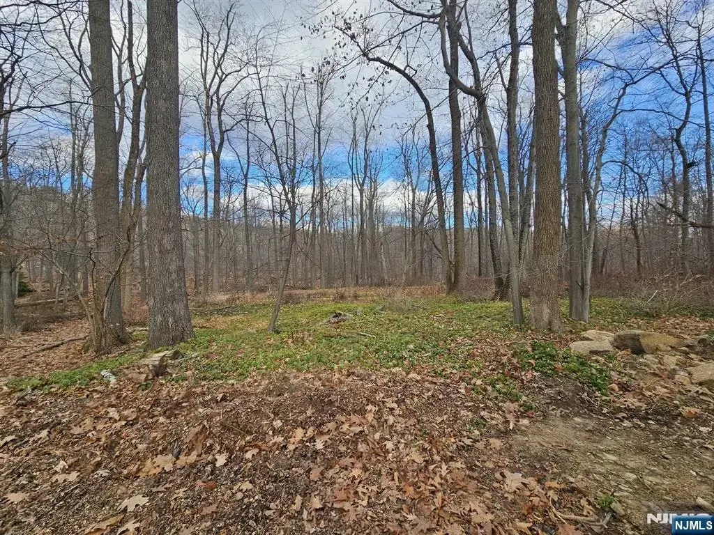 34 Starlight Drive, Morris Township