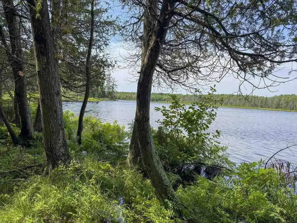 Tbd Hemlock Point Road, Beaver Island