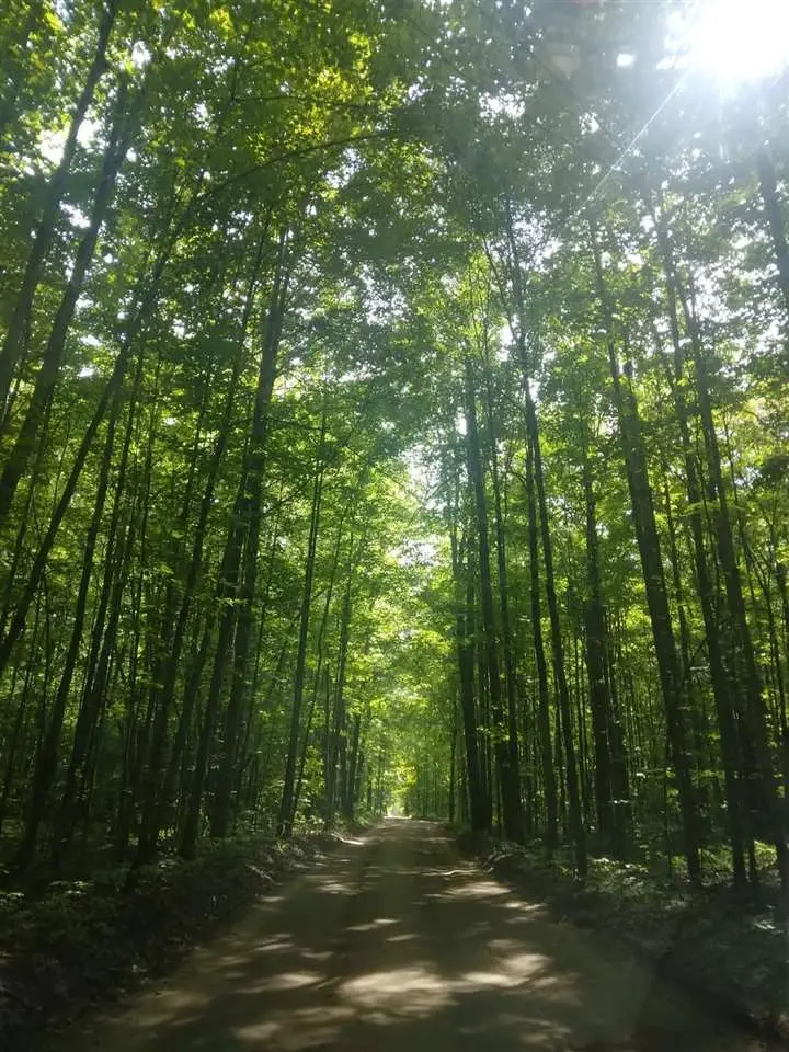 4856 Star Chief Trail, Mancelona