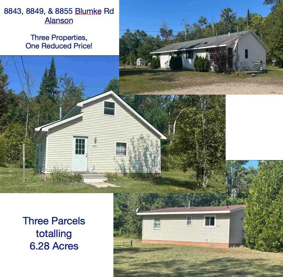 8843/8849/8855 Blumke Rd, Alanson