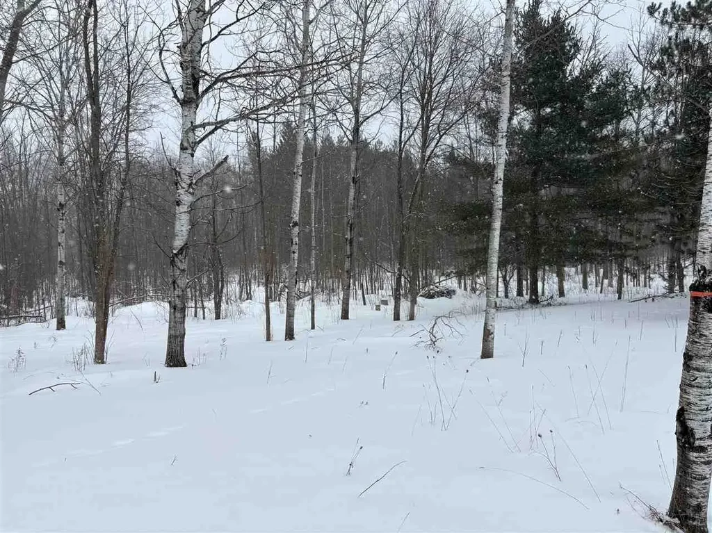 5 Red Pine Run, Charlevoix