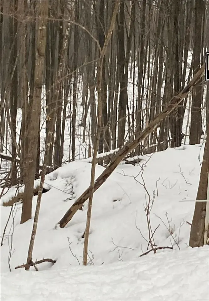 Tdb Marshall, Boyne City