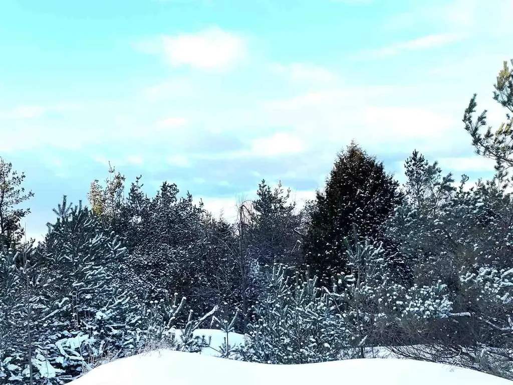 290 Harbor View Ln, Petoskey