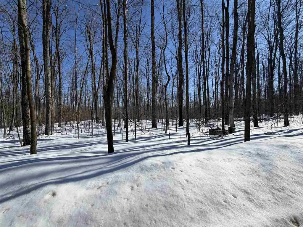 Lot 7 Connemara Lot 7, Boyne City