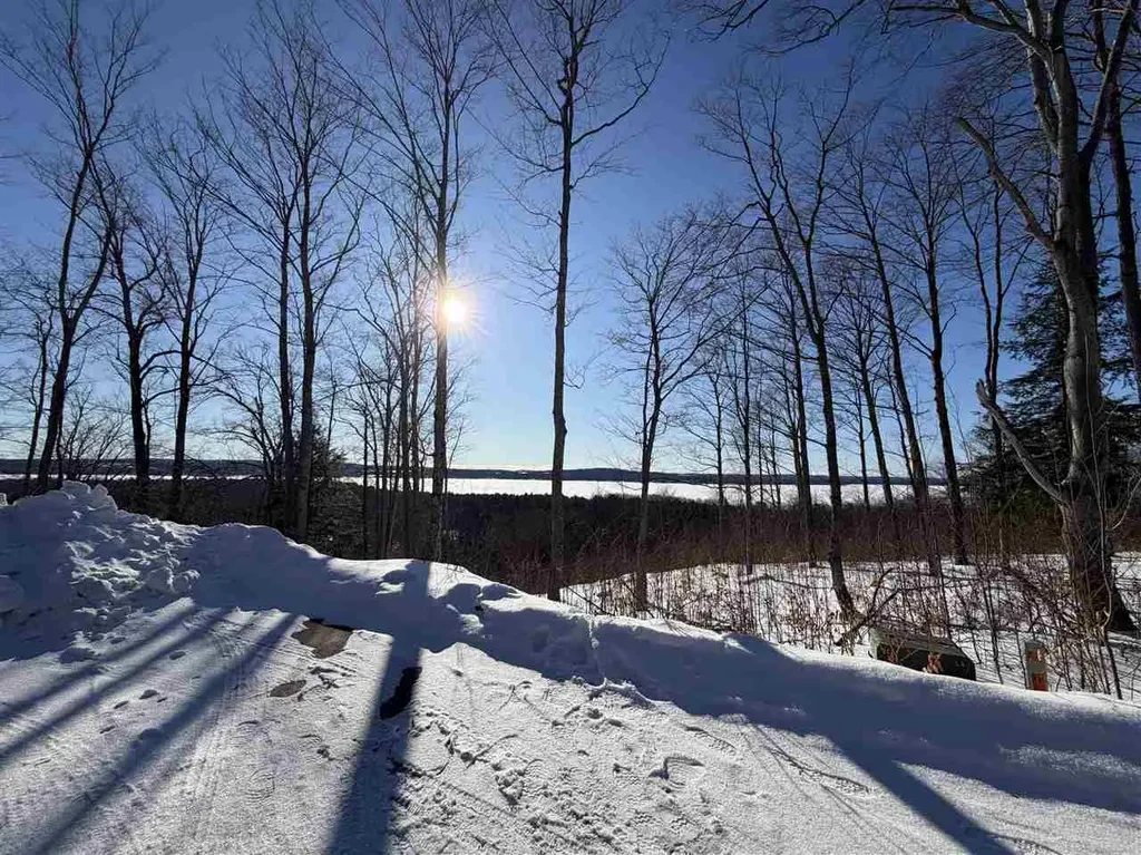 Lot 11 Connemara, Boyne City