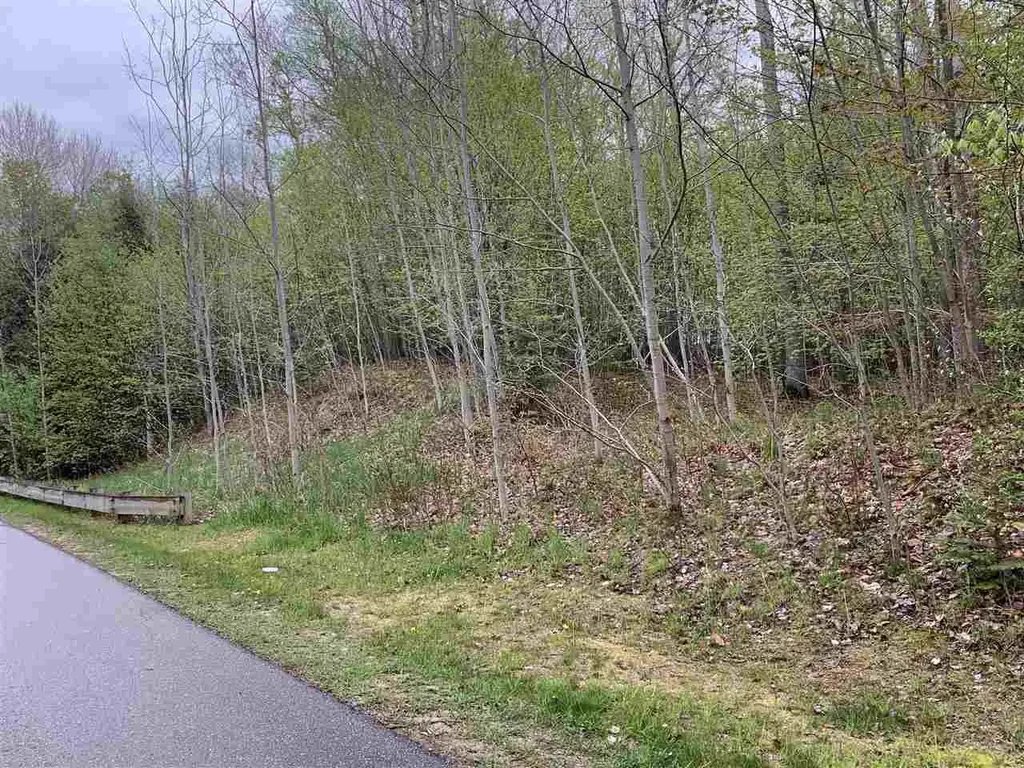 6869 S Preserve Drive, Petoskey