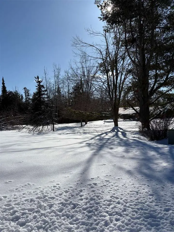 4040 Kuebler Drive, Alanson