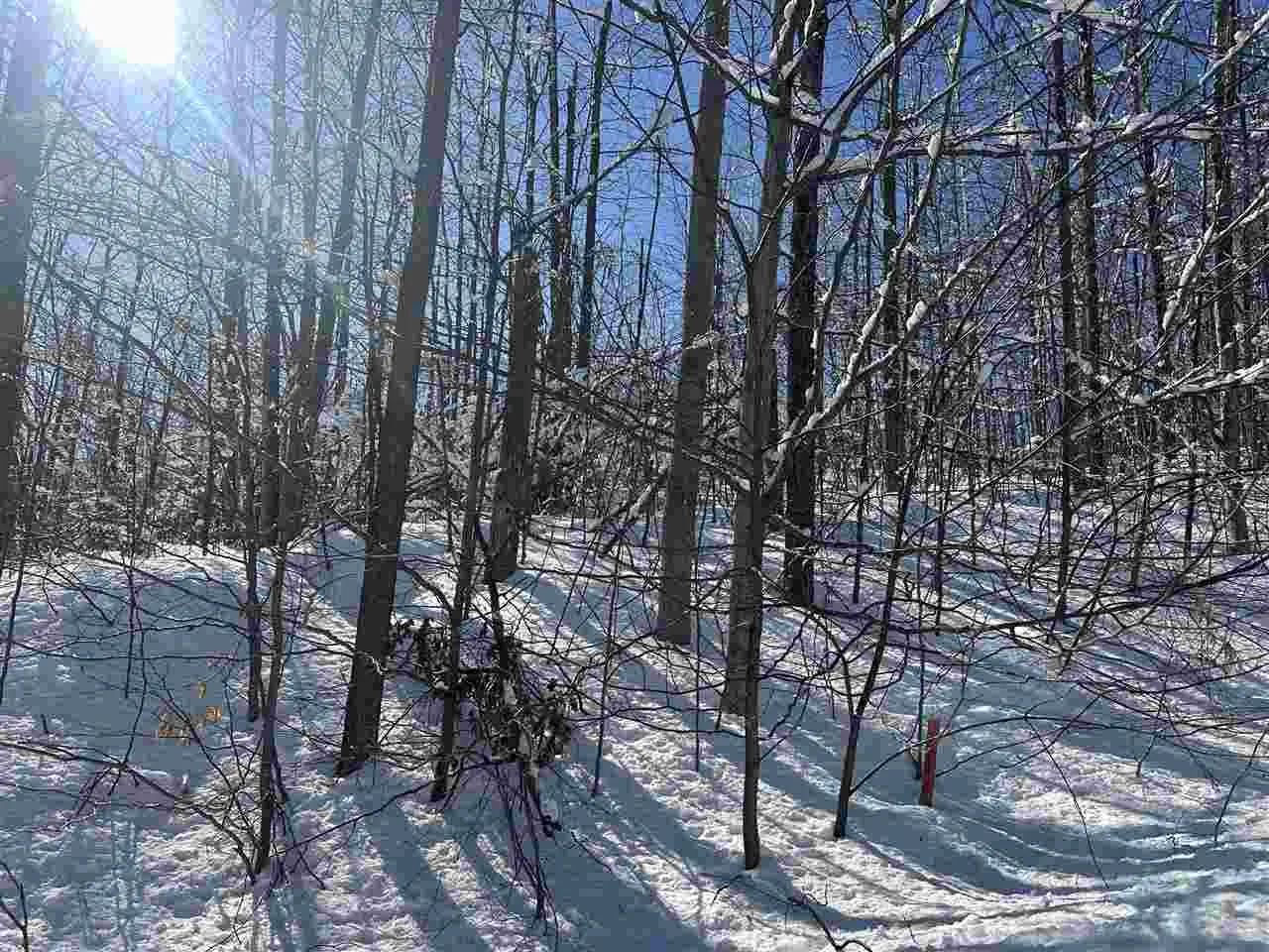 1339 Andover Club Drive 33, Harbor Springs