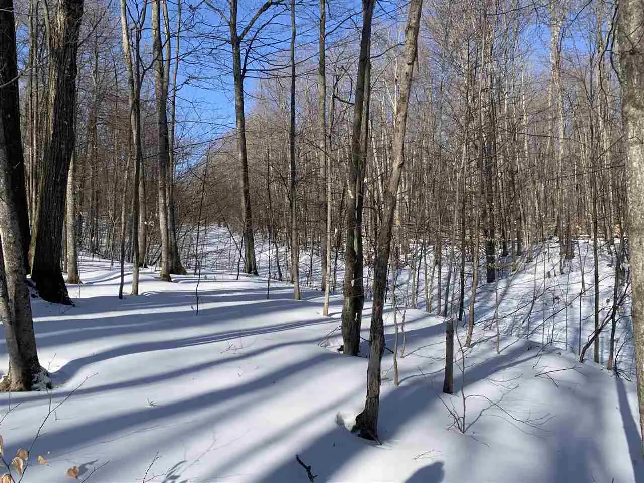 1412 Andover Club Drive 10, Harbor Springs