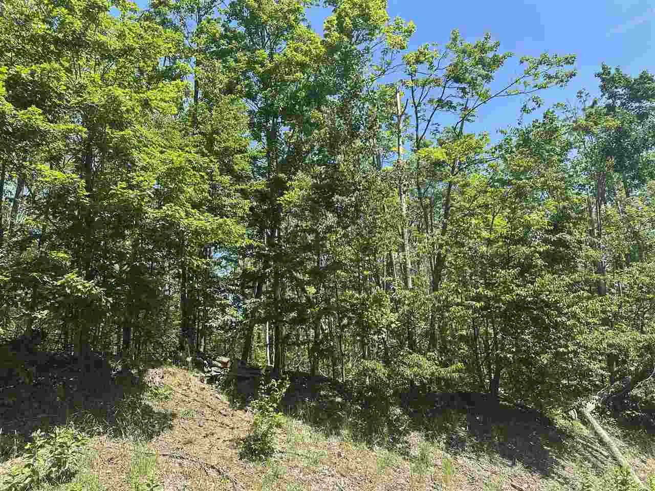 4080 West Ridge Ct 2, Harbor Springs